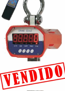 Pesa - escala digital 5ton.